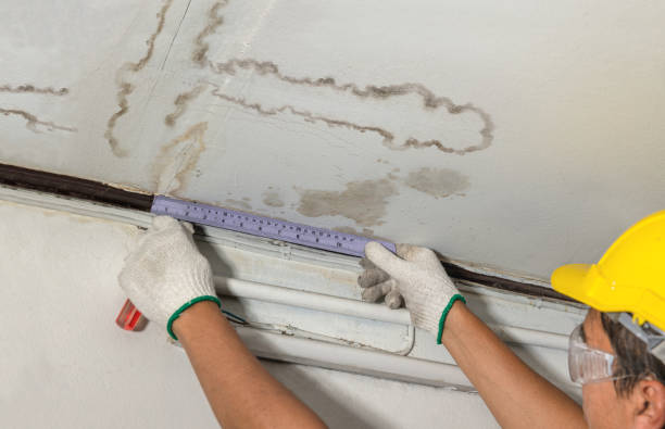 Reliable Burst Pipe Cleanup contractor in Virgin, UT by Water Damage Irwin